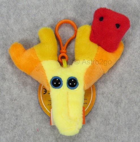 Giant microbes antibody - microbes-antibody, key