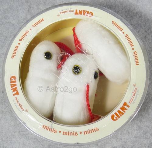 Giant microbes salmonella - giant, microbes-salmonella